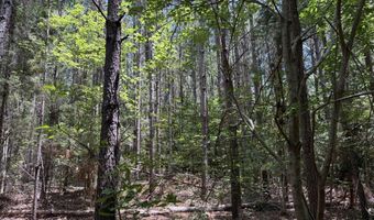 0 Five Notch Rd, Bradley, SC 29848