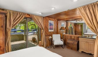 125 E Hyman Ave 1A, Aspen, CO 81611