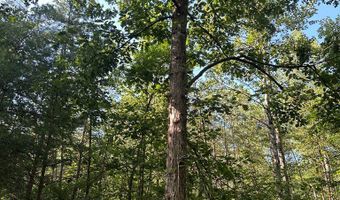 Lot 2B Gidsville Road, Amherst, VA 24521