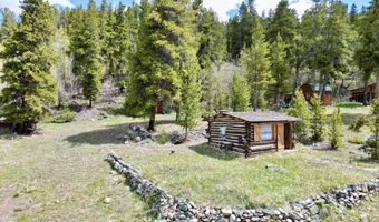 103 Main St, Almont, CO 81210