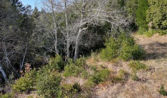 97436 WHISPER Ln, Brookings, OR 97415