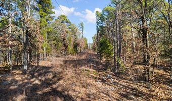 187602 N 4138 Rd, Antlers, OK 74523