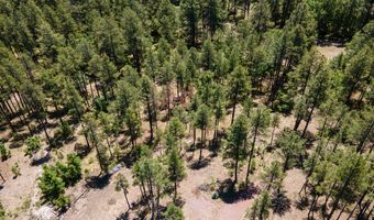 13 County Road N 2122, Alpine, AZ 85920