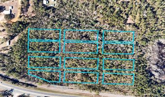 White Pond Church Road, Alford, FL 32420