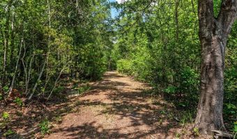 4814 NW 244 Ave, Alachua, FL 32615