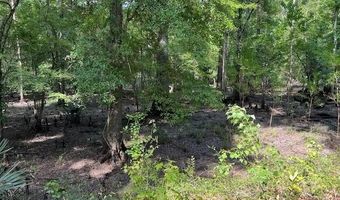 1373 Bridge St, Branchville, SC 29432