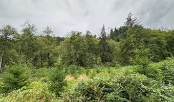 3 N DUBOIS Rd, Ariel, WA 98603
