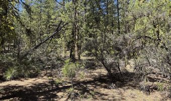 Horned Owl Way 385461, Bonanza, OR 97623