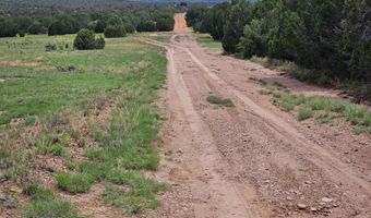 Birdwing Lane, Clay Springs, AZ 85923