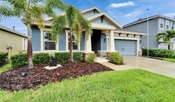 6127 COLMAR Pl, Apollo Beach, FL 33572