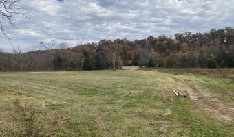 000 Tbd County Rd T-541, Ava, MO 65608
