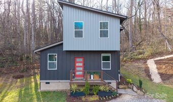 24 Lower Grassy Branch Rd, Asheville, NC 28805