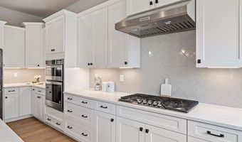 203 Weddington Park Ln, Apex, NC 27523