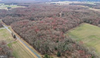 CRYSTAL Road, Hartly, DE 19953