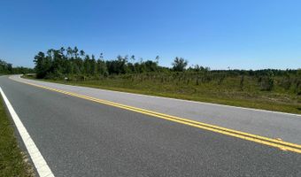 xxx County Hwy 73, Altha, FL 32421
