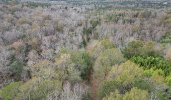 County Road 91, Banks, AL 36005
