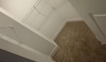 5120 Nevola Ave, Ave Maria, FL 34142