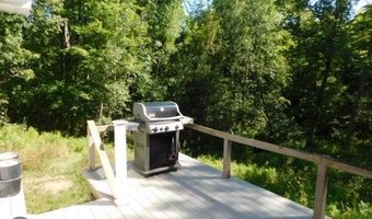 2711 Hatley Rd, Fife Lake, MI 49633