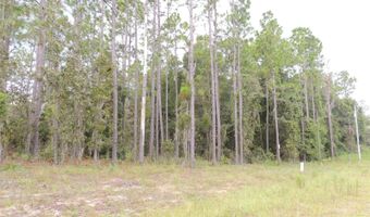 11730 NE 101ST Ter, Archer, FL 32618