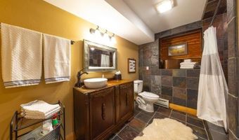209 Deer Path Ln, Almont, CO 81230