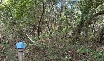 15 Red Cedar Trl, Bald Head Island, NC 28461