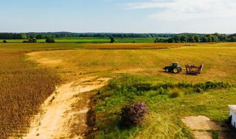 1037 Cr 300, Big Creek, MS 38914