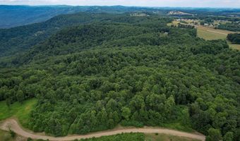 Pheasant Chase lot 3812 81 T, Ararat, VA 24053