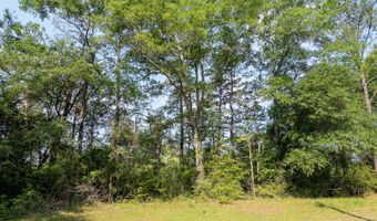 10 AC +/- Gravel Pit Lake Rd, Beaumont, MS 39423