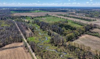 V/L W Chicago Road, Allen, MI 49227