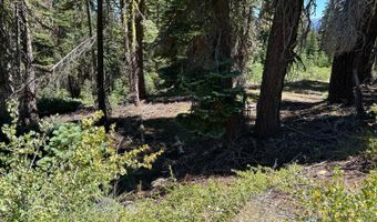 39 Liberty Rd, Arnold, CA 95223