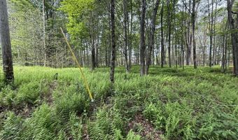 Dorshimer Ave, Blakeslee, PA 18610