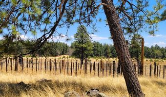 Tbd STONE CREEK RD CR 2117, Alpine, AZ 85920