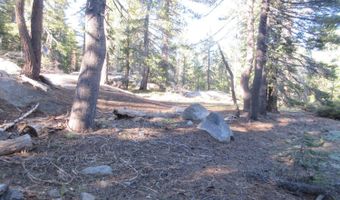 175 Silver Tip Dr, Bear Valley, CA 95223