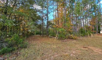 0 Bruner Pond Rd, Ashford, AL 36320