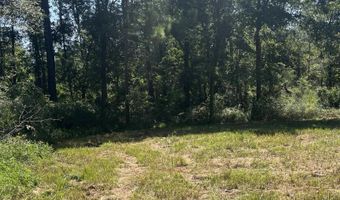 0 Cactus Ct, Elberta, AL 36530