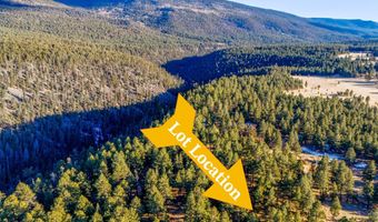 66 Mora Ranch Rd, Angel Fire, NM 87710