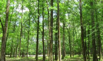 15 Acres Sidell Rd, Benton, AR 72015