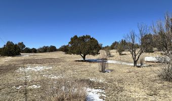 664 Mt. Capitan Rd, Capitan, NM 88316