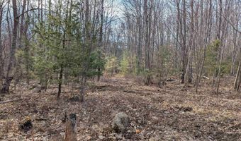 M 3 - L 15-1 & 2 Prospect Mountain Road, Alton, NH 03809