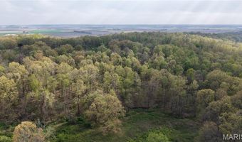 0 County Road 261, Advance, MO 63730