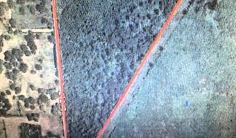 160 LR 717, Ashdown, AR 71822