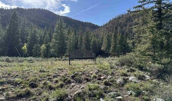 930 County Road 744, Almont, CO 81210