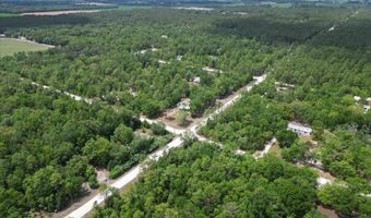 6489 11th Ave, Bell, FL 32619