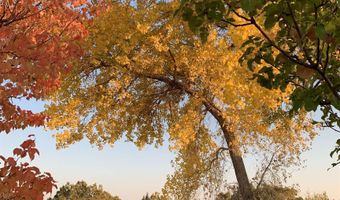 51 Atalaya Rd, Arroyo Hondo, NM 87513