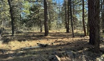 Bunting Drive, Bonanza, OR 97623