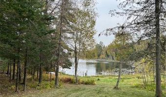 13102 Seaberg Ln, Bagley, MN 56621