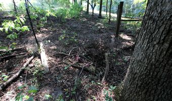 000 Sorrell Rd, Benton, AR 72015