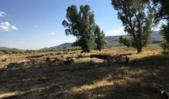 1000 SMITHS FORK Rd, Cokeville, WY 83114