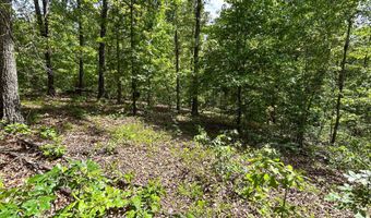 County Road 544, Bakersfield, MO 65609