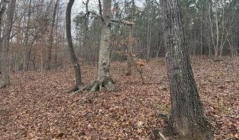 HARDWARE RD lot 1, Arvonia, VA 23004